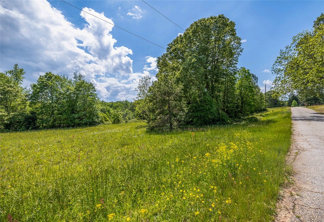 Lot 1 Generostee Church Road Starr, SC 29684 - Photo 8 of 16 Gallery Image 8