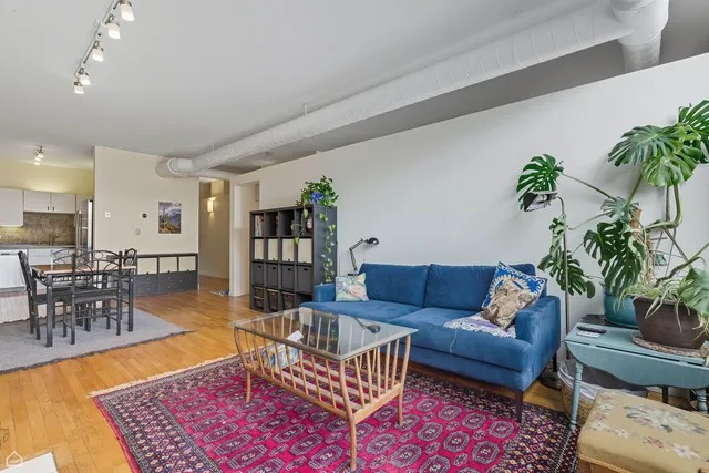 a living room with furniture a dining table and a potted plant