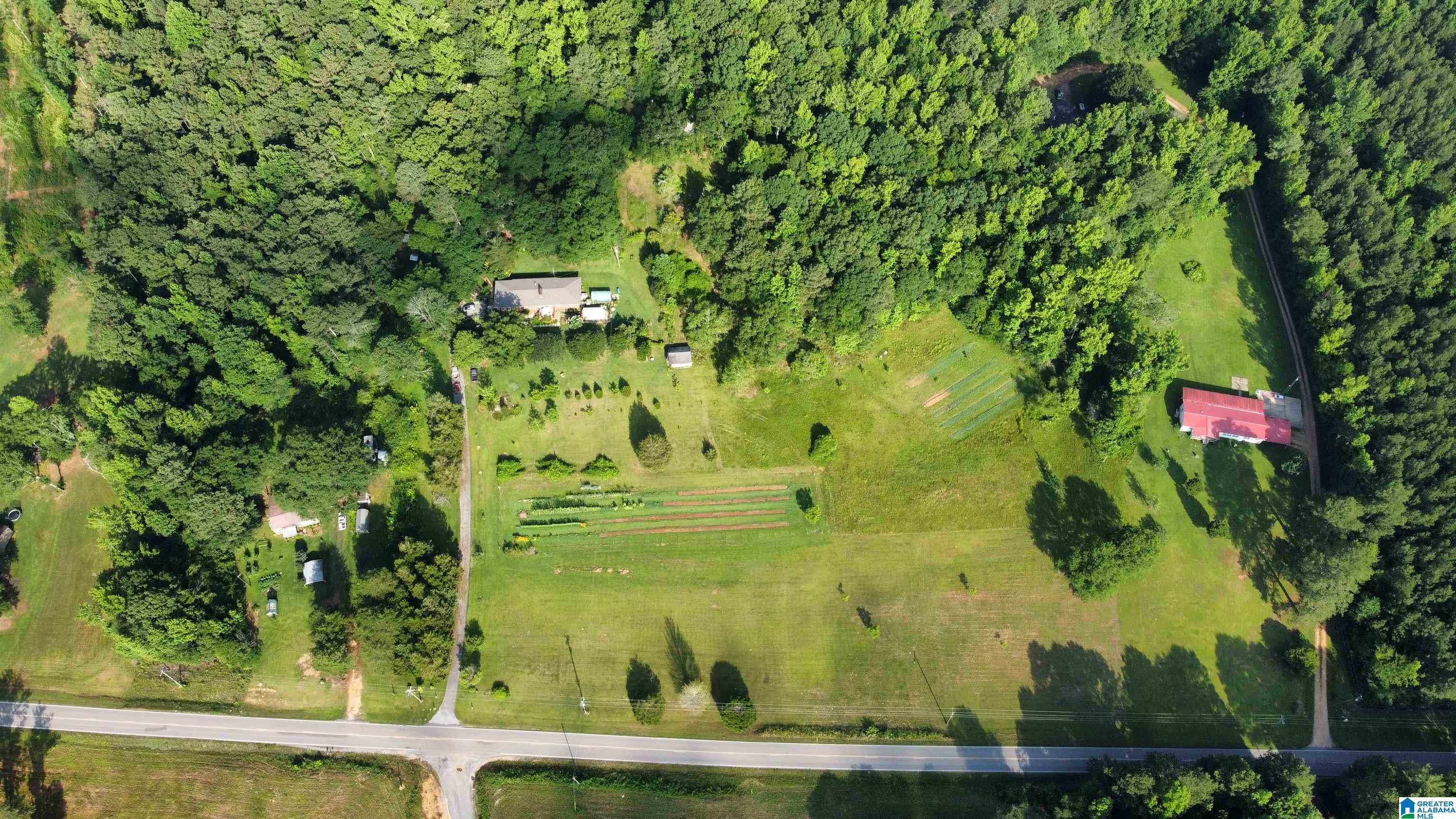 1505 Camp Creek Road Cropwell, AL 35054 - Photo 46 of 48