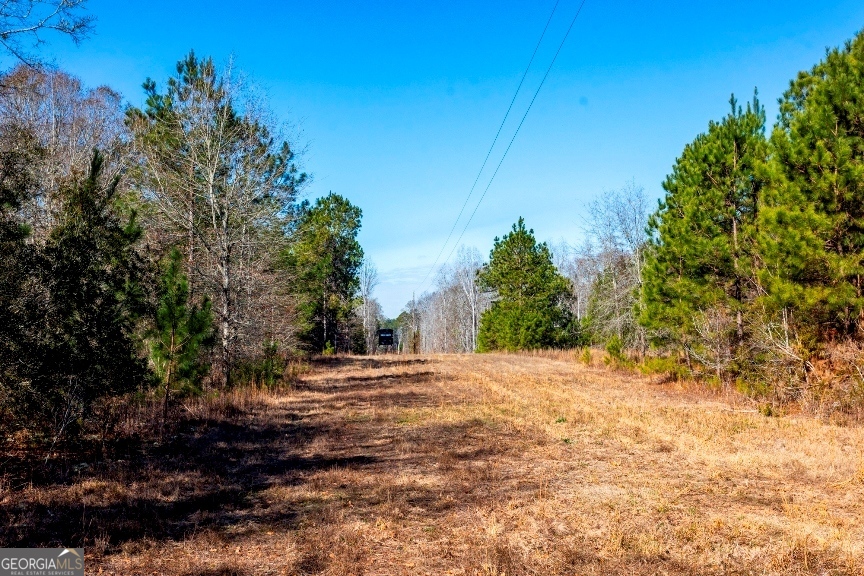 0 Crooked Road, Unit TRACT 1 Millen, GA 30442 - Photo 15 of 33