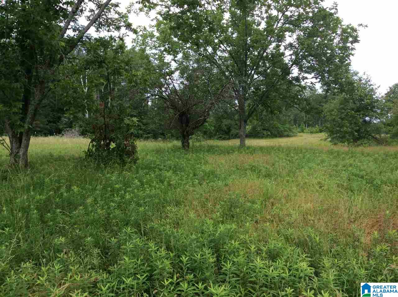 1395 County Road 152 Jemison, AL 35085 - Photo 18 of 26