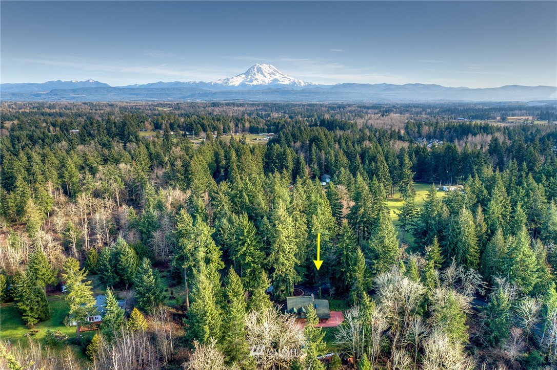 27253 Webster Road East Graham, WA 98338 - Photo 2 of 32 a view of lake with green space