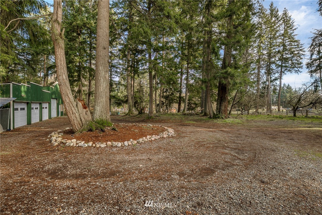 27253 Webster Road East Graham, WA 98338 - Photo 8 of 32 a view of outdoor space with trees