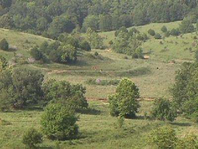 0 Elkhead Road Bruner, MO 65620 - Photo 1 of 1 Primary Photo