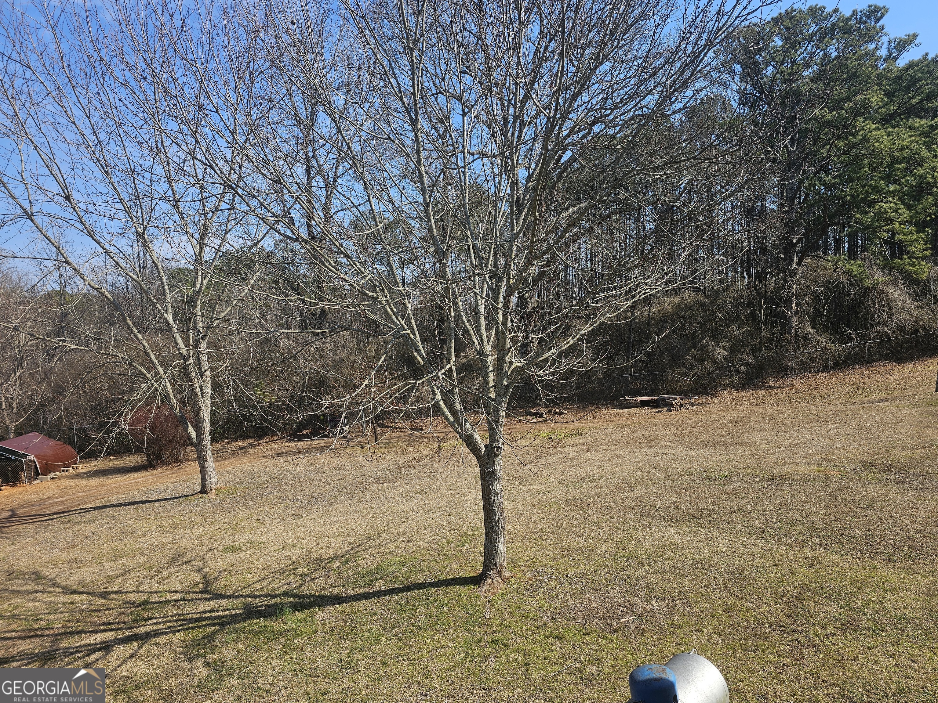 695 Frost Road Bowdon, GA 30108 - Photo 28 of 32 a view of yard covered with snow
