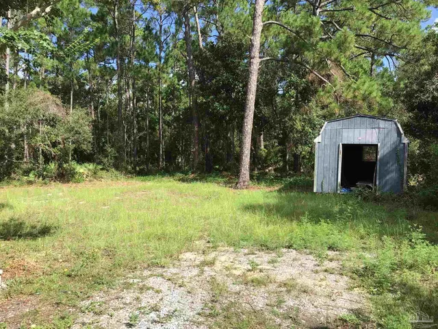 a view of outdoor space with trees all around