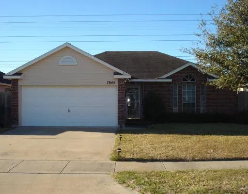 a view of backyard of house
