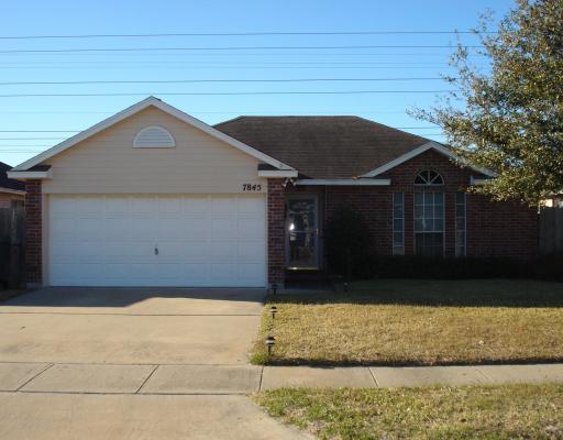 a view of backyard of house