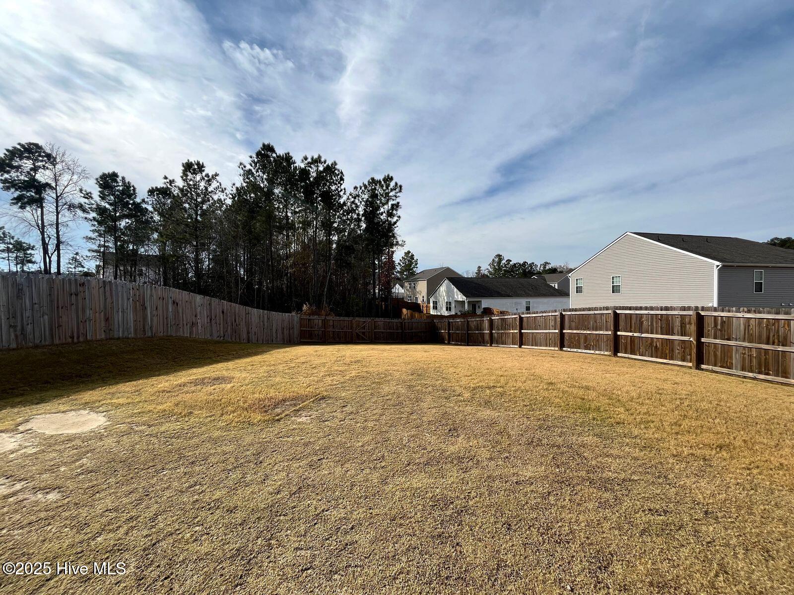 275 Roberts Place Carthage, NC 28327 - Photo 41 of 43 275 yard 2