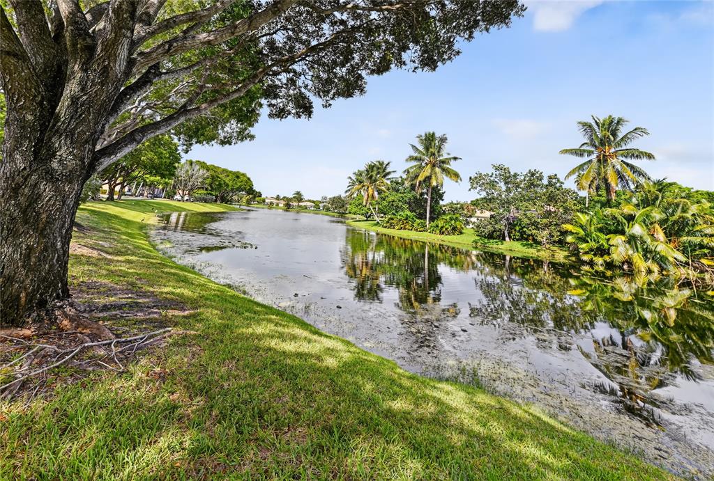 2011 Renaissance Boulevard, Unit 101 Miramar, FL 33025 - Photo 4 of 32 a view of a yard with plants and large trees