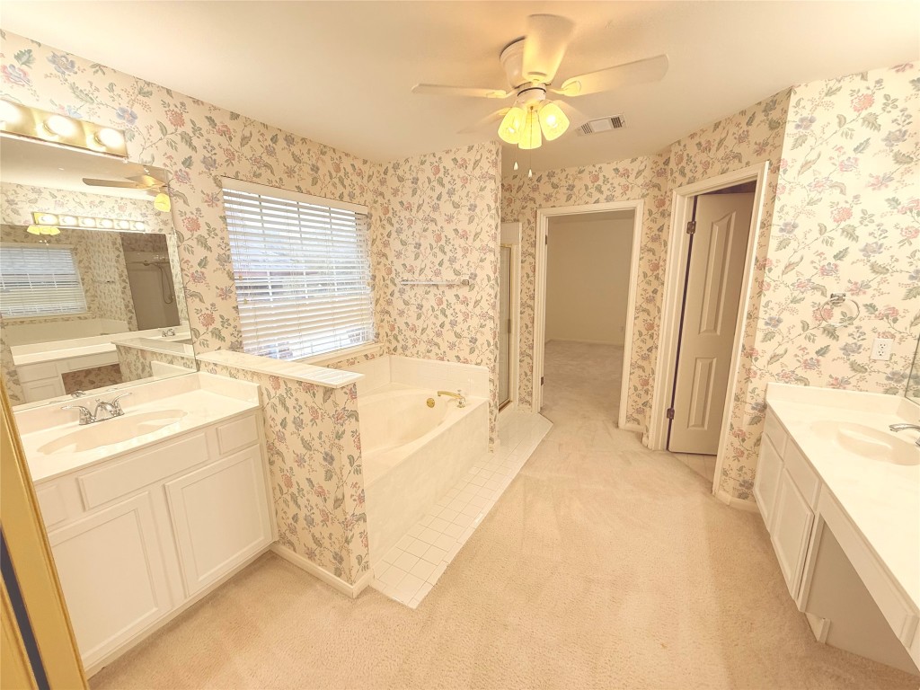 2438 Falcon Drive Round Rock, TX 78681 - Photo 14 of 18 a spacious bathroom with a tub sink and mirror
