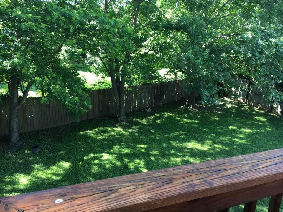 3565 Boston Road Lexington, KY 40503 - Photo 13 of 25 Photo 13