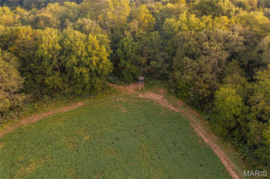 0 Abbott Road Bellflower, MO 63333 - Photo 17 of 86 Gallery Image 17