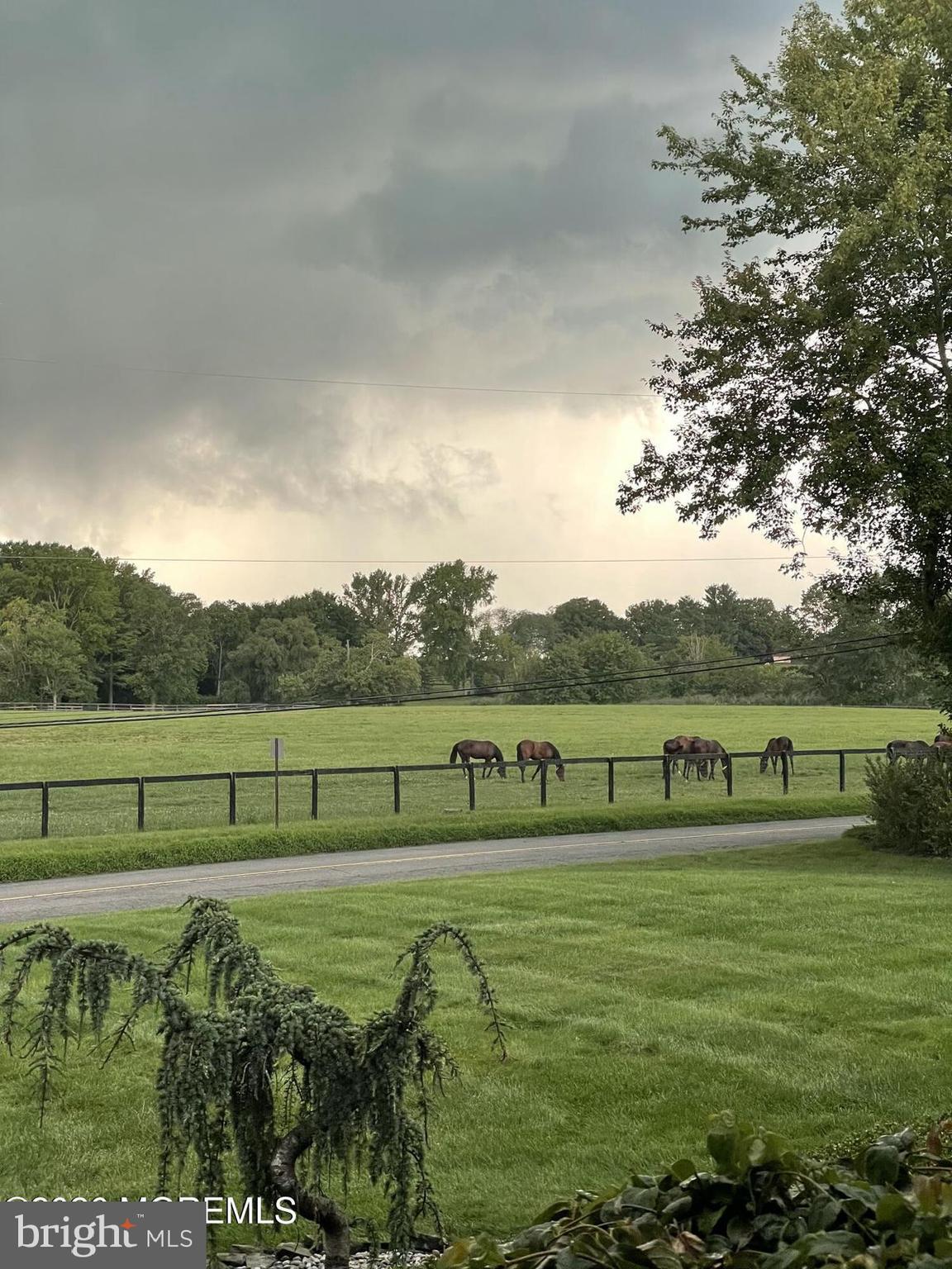 203 Holmes Mill Road Cream Ridge, NJ 08514 - Photo 57 of 58 Afternoon view of thoroughbred horse farm
