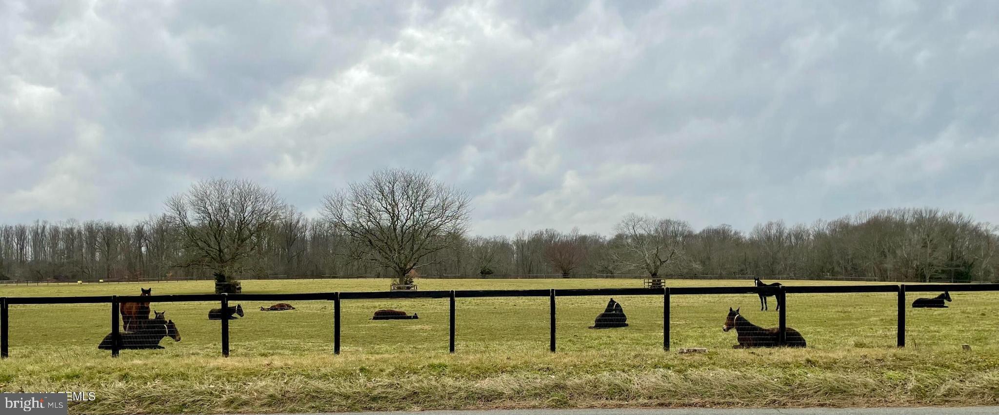 203 Holmes Mill Road Cream Ridge, NJ 08514 - Photo 58 of 58 Panoramic view of this serene space