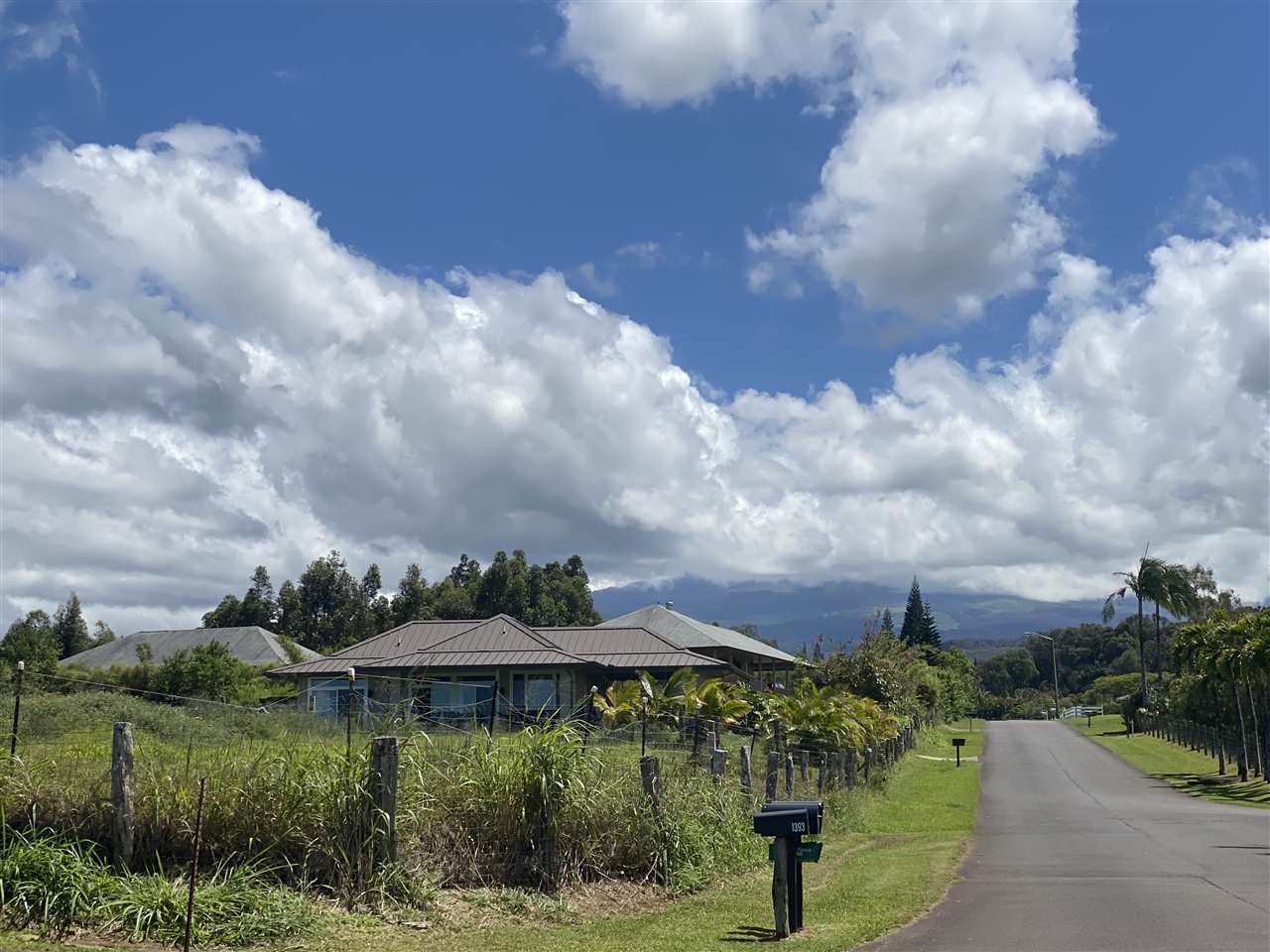 1419 Hog Back Road Haiku, HI 96708 - Photo 2 of 4 a aerial view of a house with a yard
