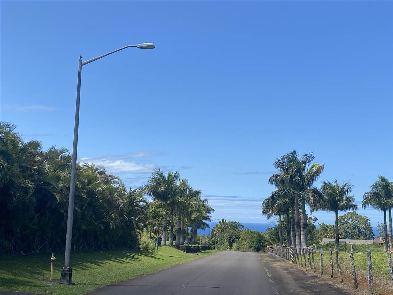 1419 Hog Back Road Haiku, HI 96708 - Photo 3 of 4 a palm tree sitting in front of a house with a yard