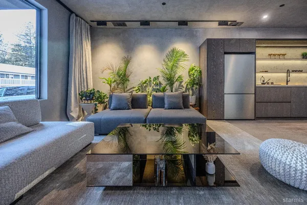 a living room with furniture and a potted plant