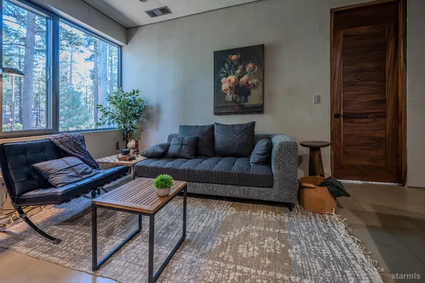a living room with furniture and a potted plant