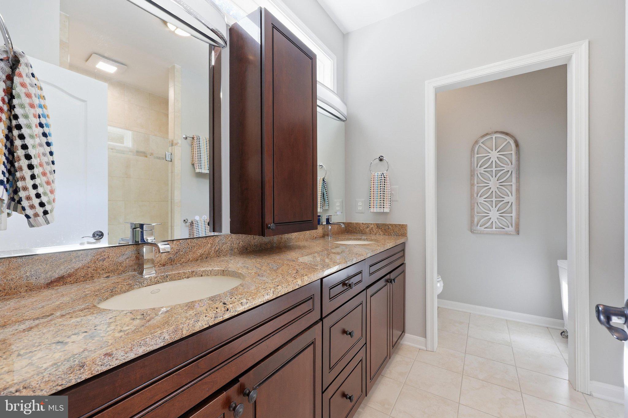 10029 Pine Tree Road Woodsboro, MD 21798 - Photo 28 of 51 Beautiful Upgraded Primary Bath