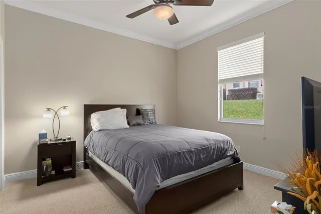 a view of a hallway with wooden floor and a potted plant
