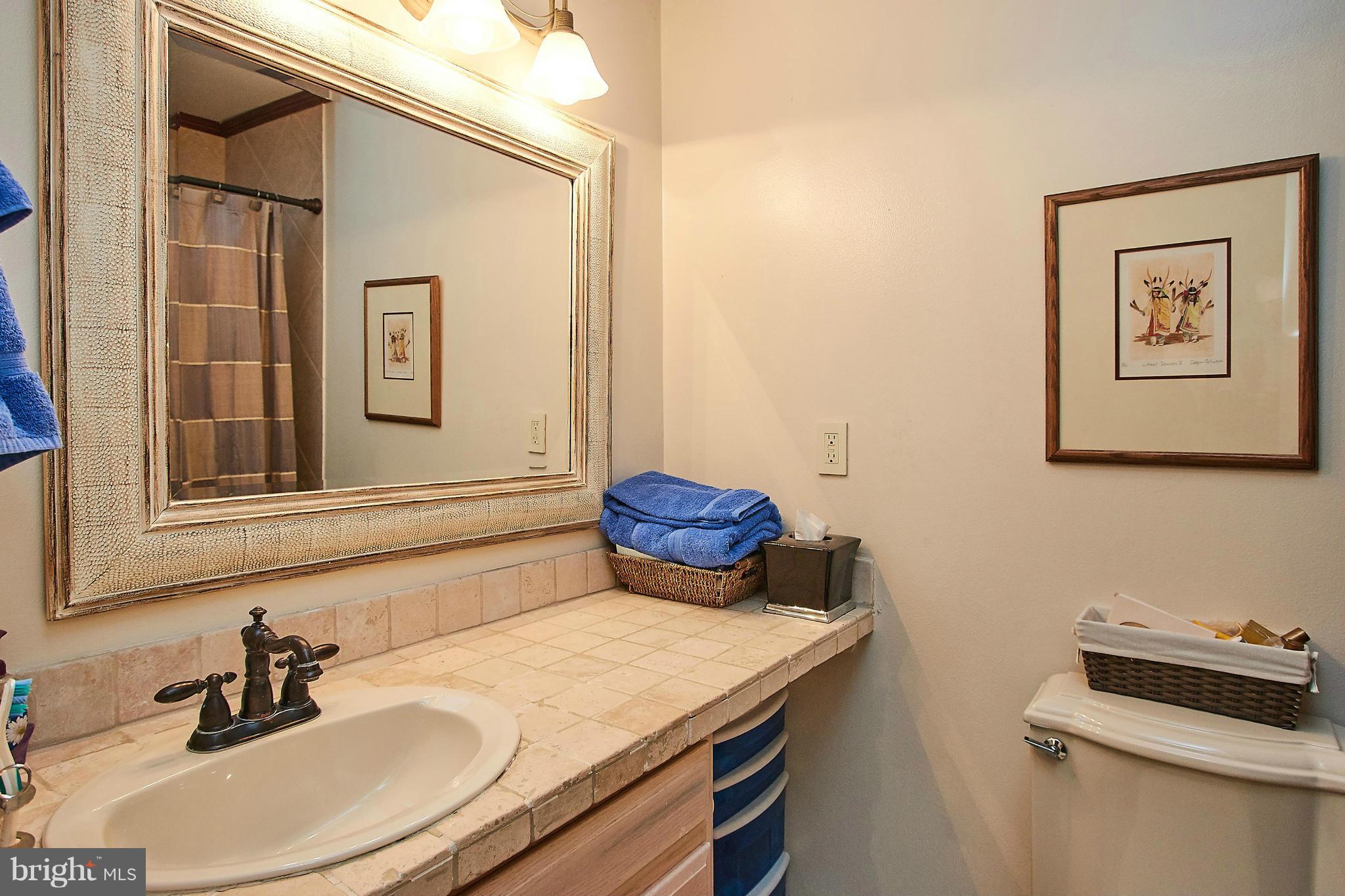 2079 Wethersfield Court Reston, VA 20191 - Photo 20 of 30 2nd of three full baths.