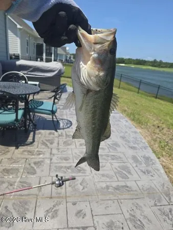 $724,000 | 402 Taylorwood Drive, Beaufort, NC 28516