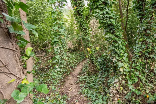 $550,000 | 14792 Northern Avenue, Guerneville, CA 95446