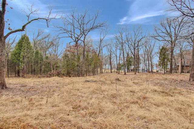 $175,000 | Tbd Clear Point Road, Malakoff, TX 75148