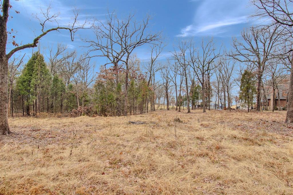 Tbd Clear Point Road Malakoff, TX 75148 - Photo 4 of 13