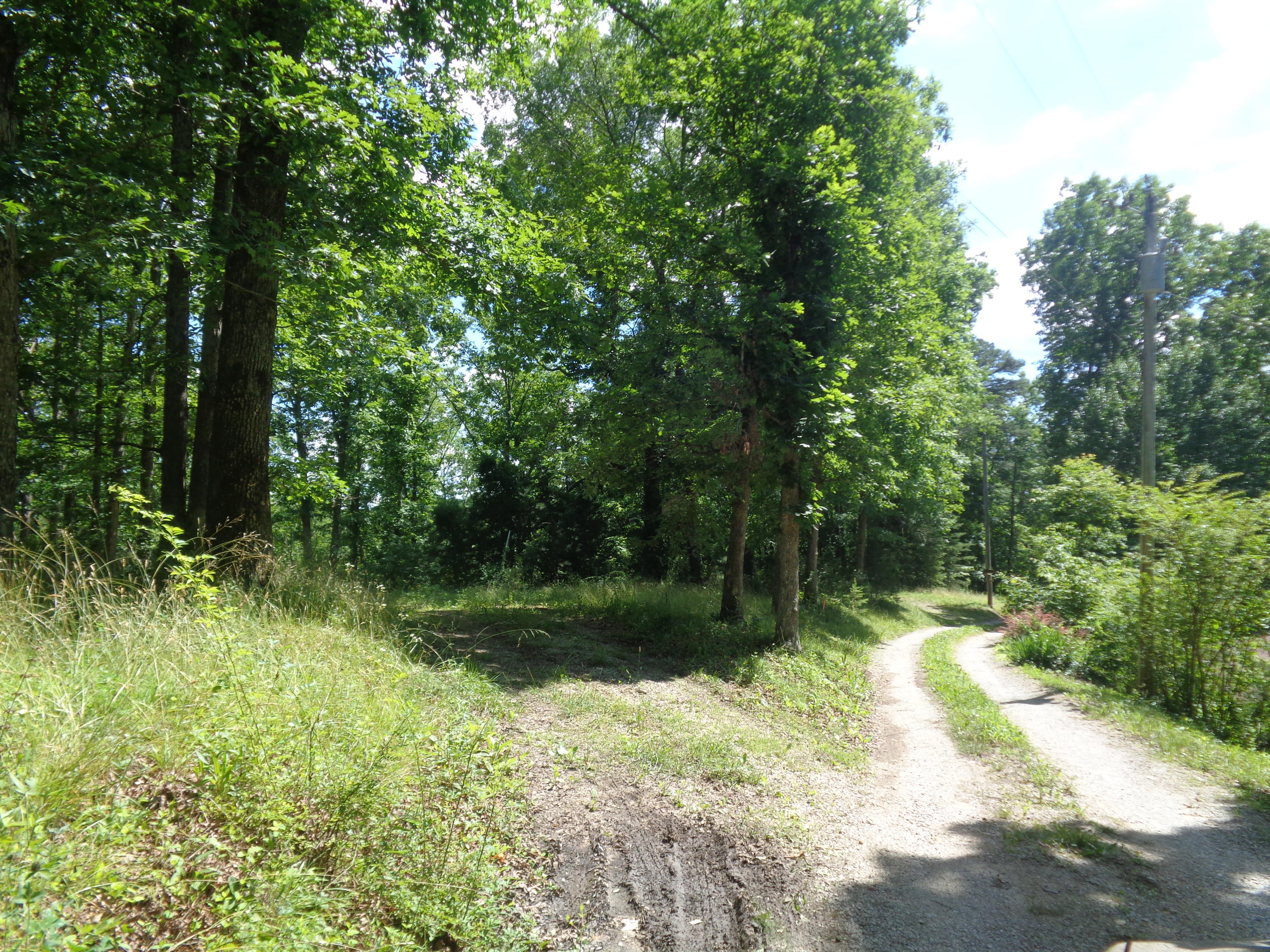 100 Rocky Point Road East Bernstadt, KY 40729 - Photo 8 of 26 DSC04917