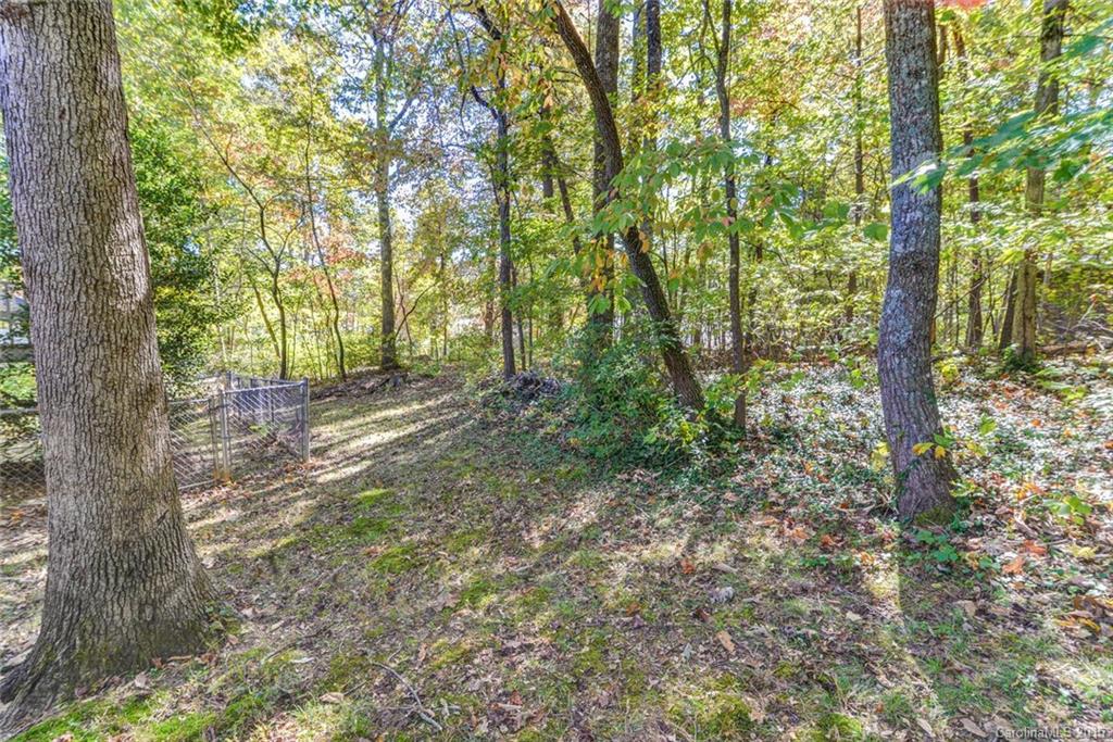 9 Forest Ridge Drive Arden, NC 28704 - Photo 22 of 24 Gallery Image 22