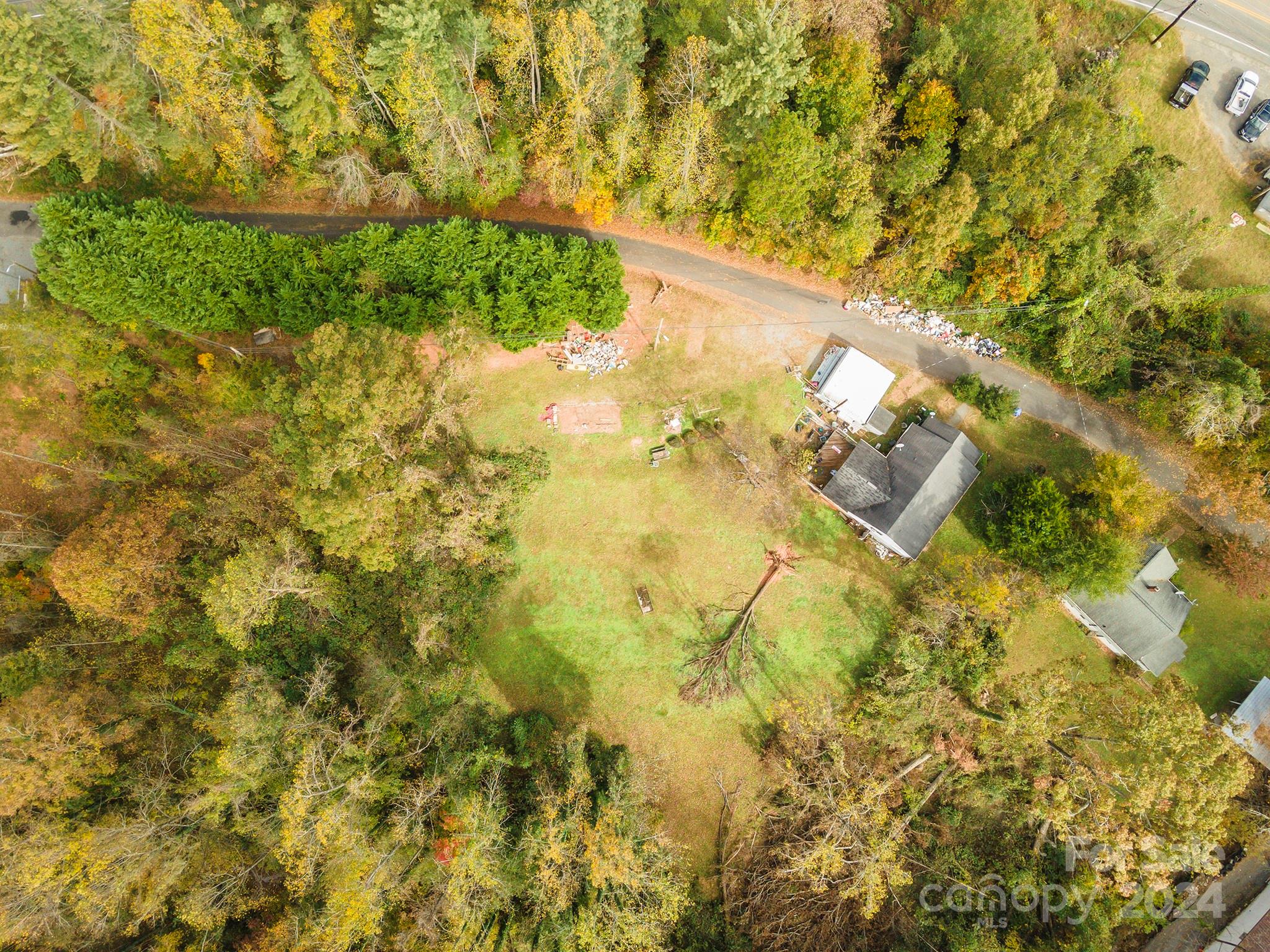 0 Hickory Street Rutherfordton, NC 28139 - Photo 8 of 8 a close up of a plant in a garden