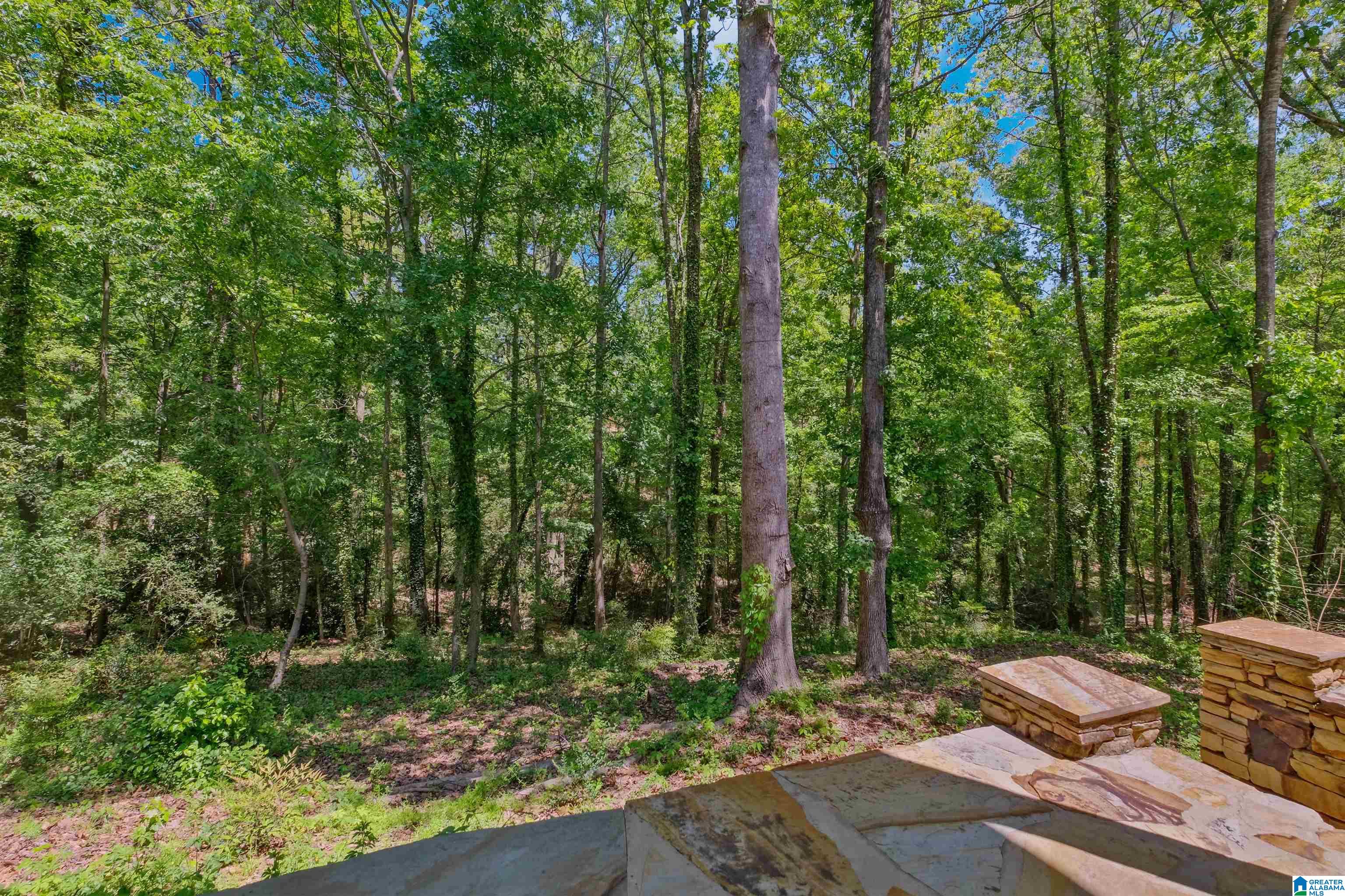 3605 Cheshire Road Birmingham, AL 35242 - Photo 54 of 57