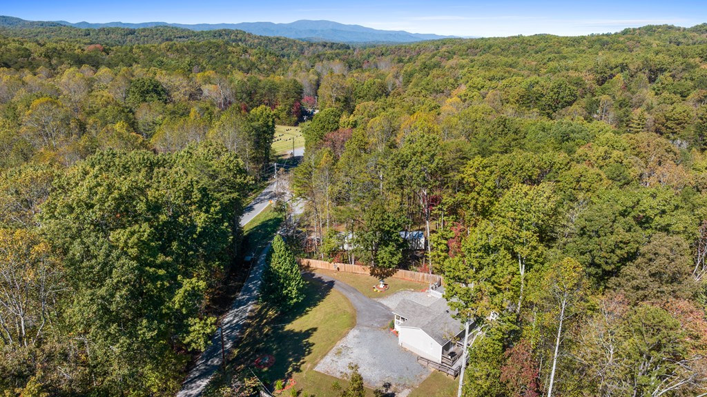 39 Red Bush School Road Blue Ridge, GA 30513 - Photo 35 of 36 a view of a forest with a street