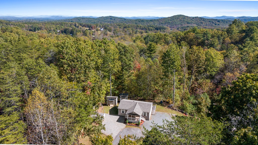 39 Red Bush School Road Blue Ridge, GA 30513 - Photo 36 of 36 a view of a city with lush green forest