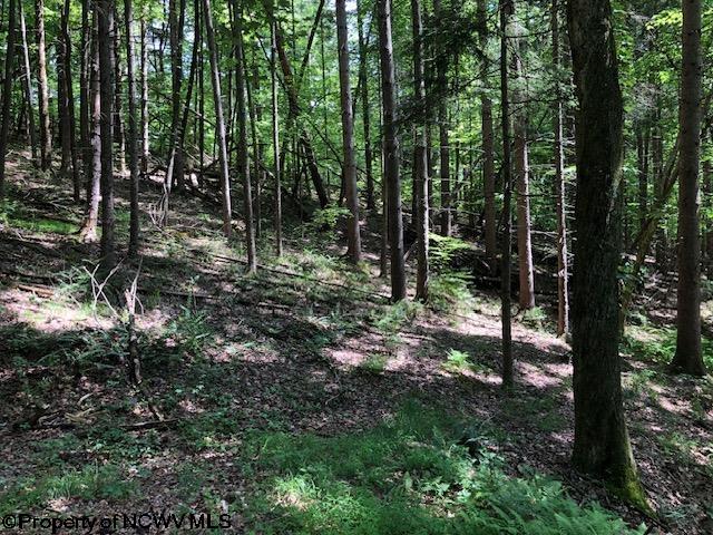 Tbd Harpertown Road Elkins, WV 26241 - Photo 3 of 6 Gallery Image 3