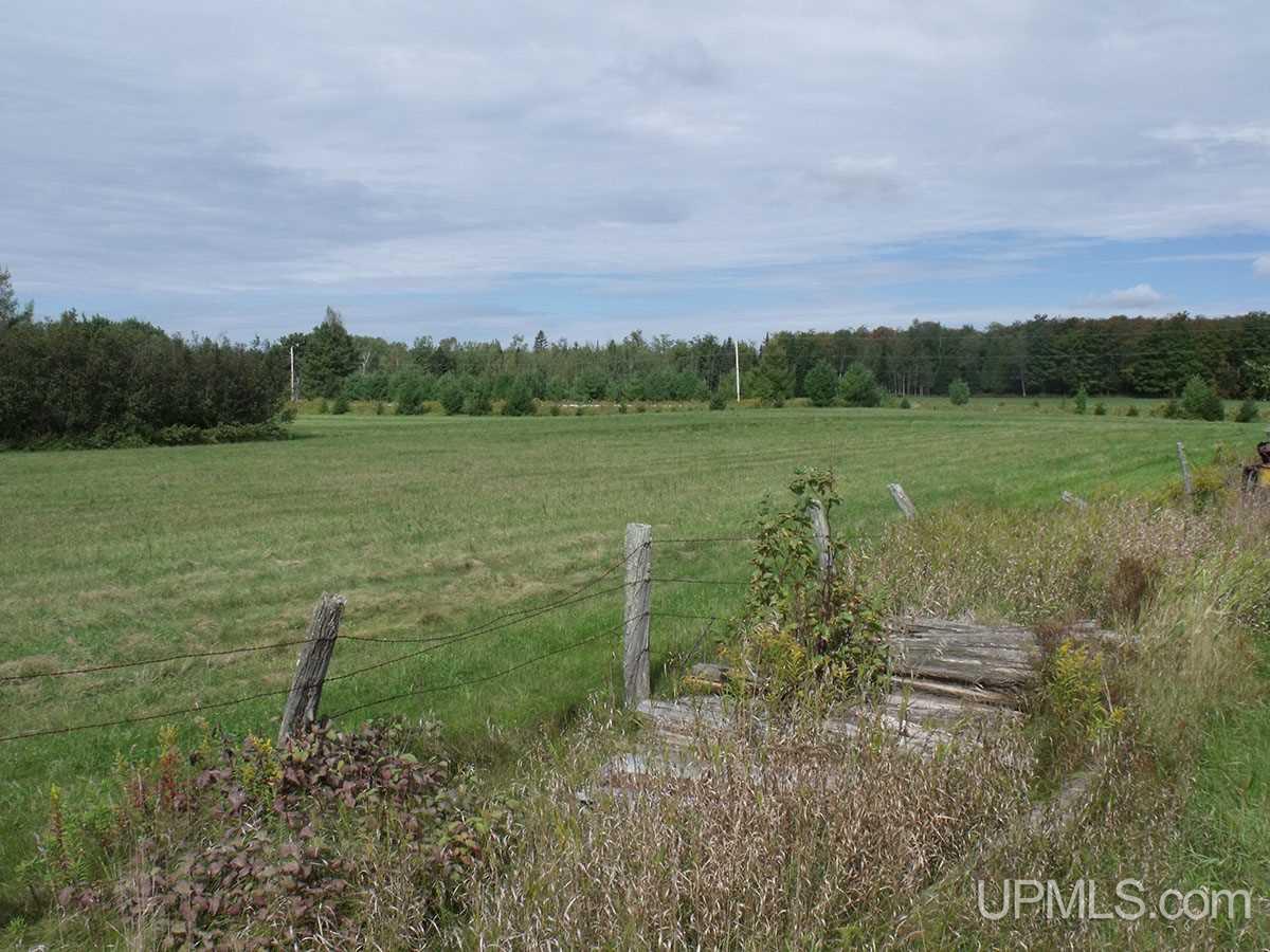 Tbd 240 Acres Off Belgium Road Manistique, MI 49854 - Photo 1 of 35