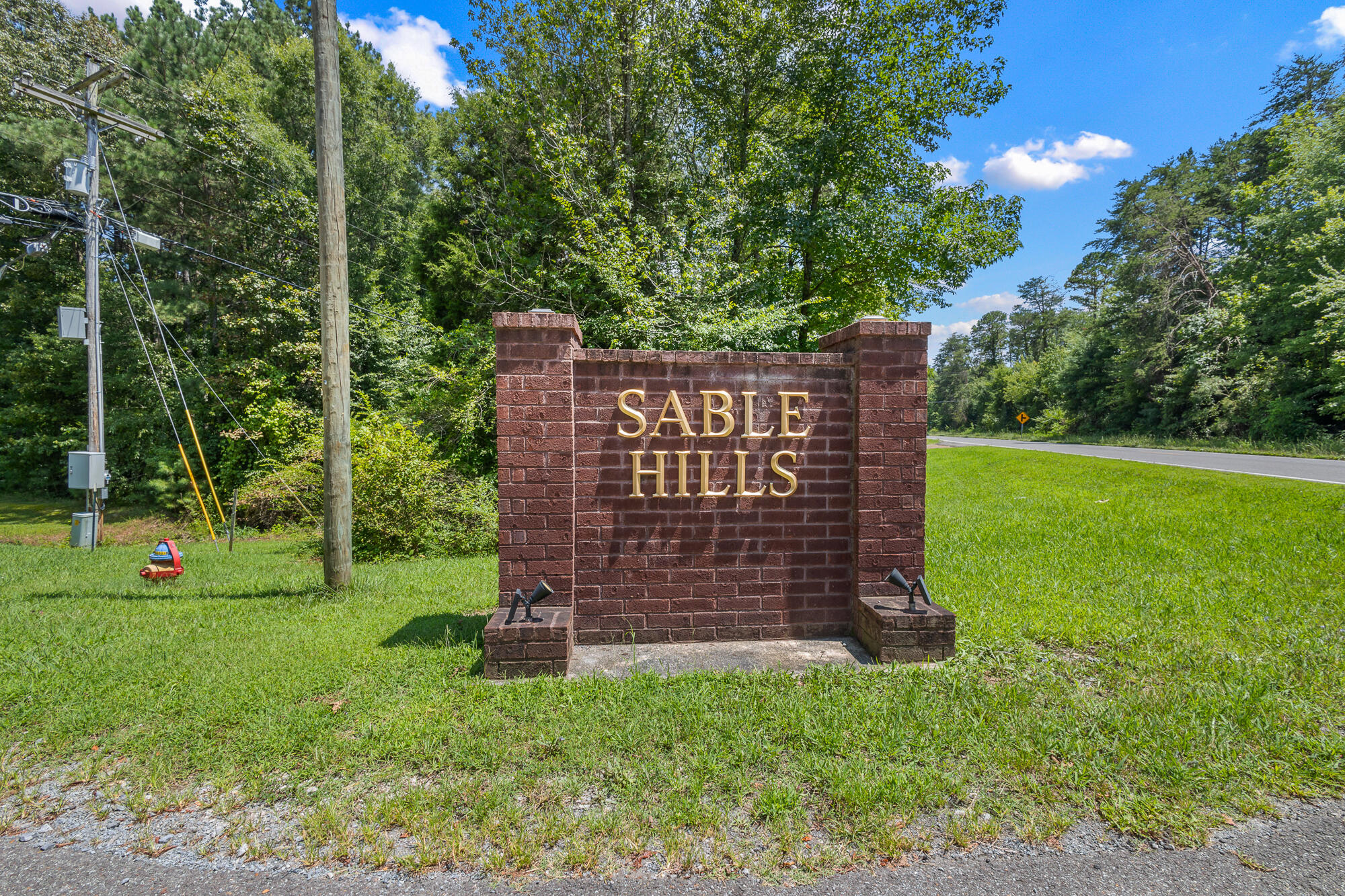 294 Sable Road Spring City, TN 37381 - Photo 6 of 41 Sable Rd-24