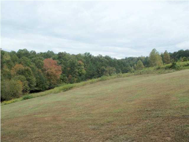 940 Herman Smith Road, Unit A Pikeville, TN 37367 - Photo 9 of 12 Additional Photo