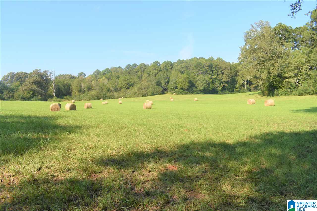 3086 McElderry Road North Munford, AL 36268 - Photo 9 of 44