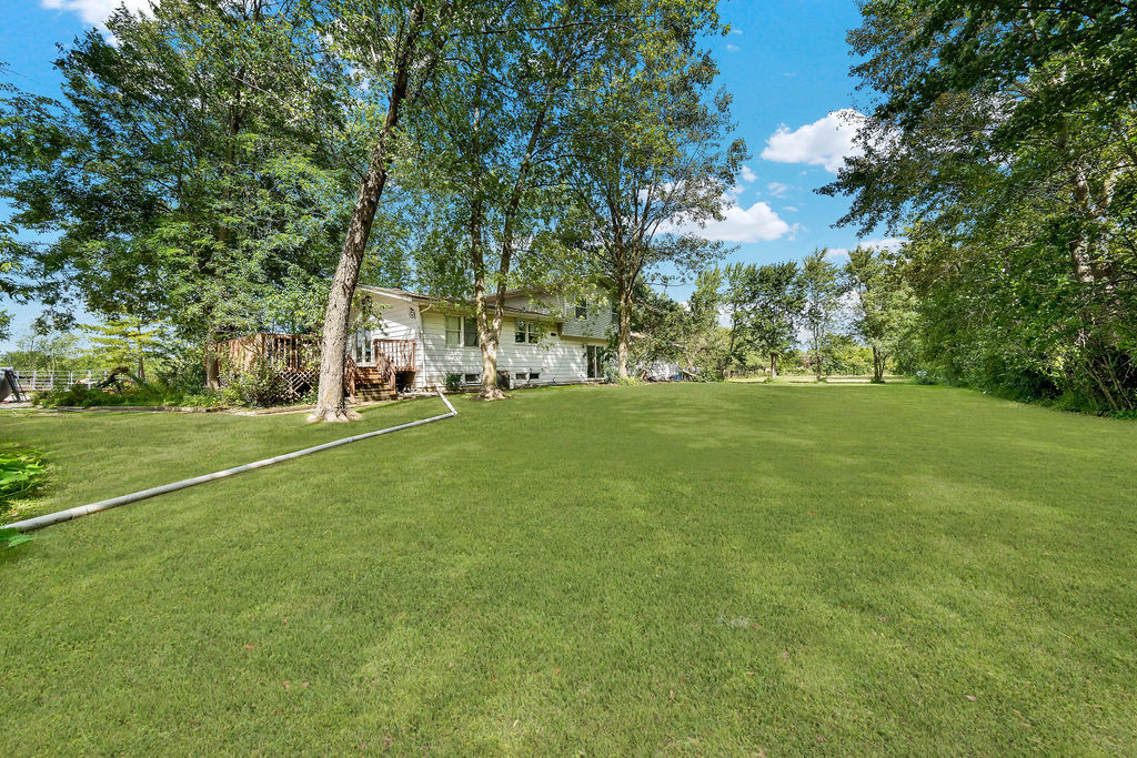 7245 West Dralle Road Monee, IL 60449 - Photo 44 of 73 a view of a trees in a yard