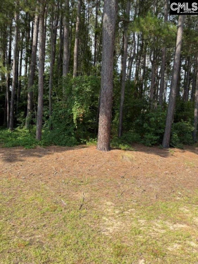 2140 Watersong Run Sumter, SC 29150 - Photo 3 of 5