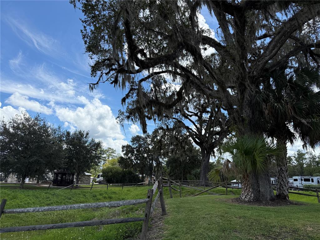 10264 Northeast 28th Loop Silver Springs, FL 34488 - Photo 11 of 44 a view of a park