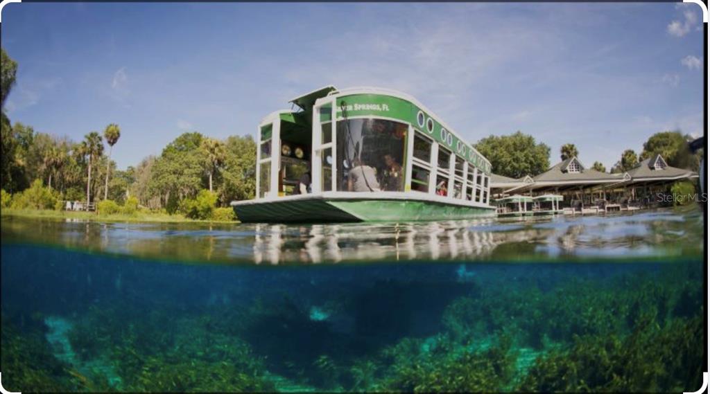10264 Northeast 28th Loop Silver Springs, FL 34488 - Photo 42 of 44 a front view of a house with a yard