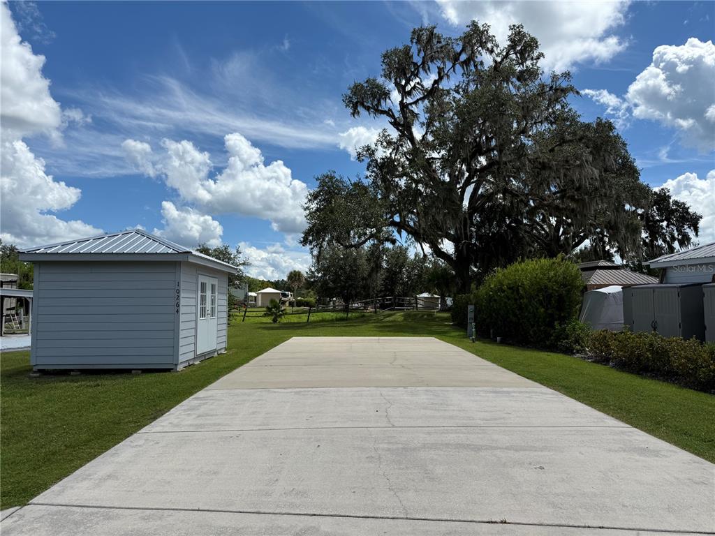 10264 Northeast 28th Loop Silver Springs, FL 34488 - Photo 5 of 44 a view of backyard of house with green space
