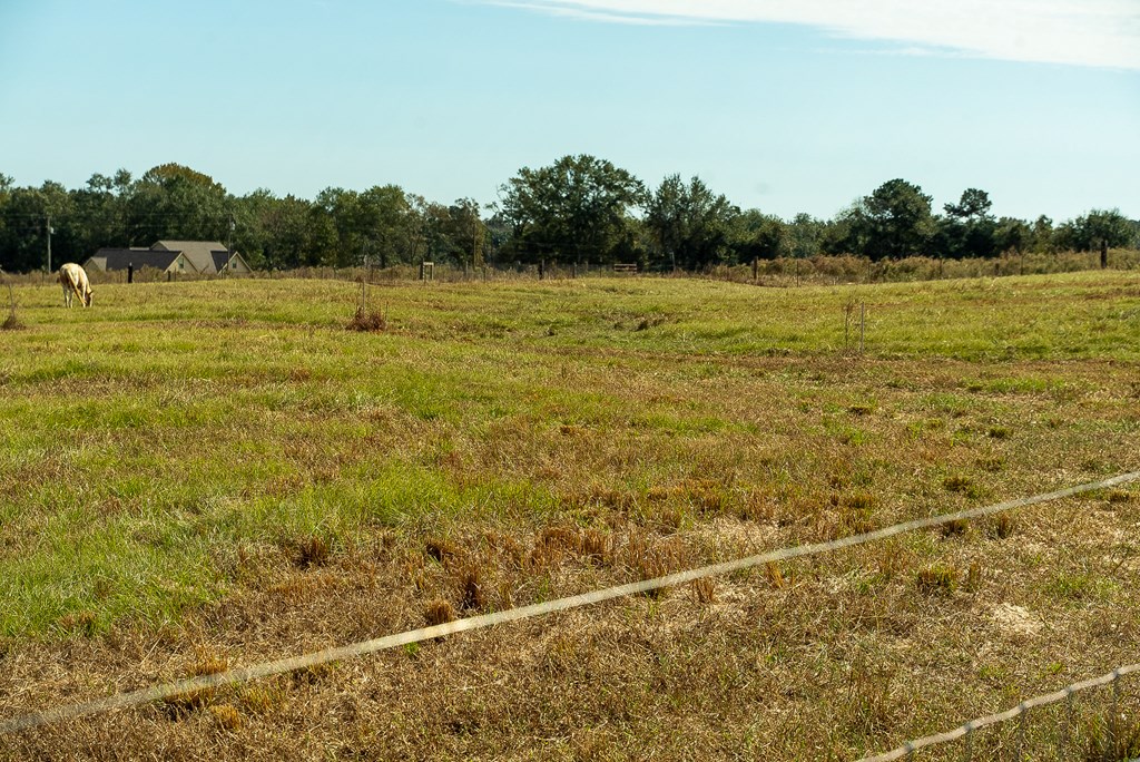 0 J B J B Jackson Road Webb, AL 36376 - Photo 2 of 38