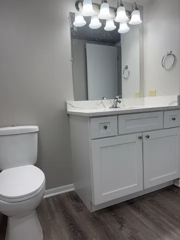 a bathroom with a toilet sink and mirror