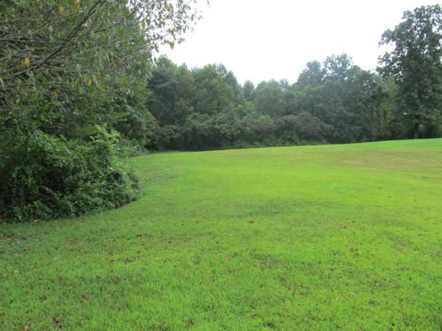 2188 CCC Road McEwen, TN 37101 - Photo 11 of 16 a view of field with trees in the background