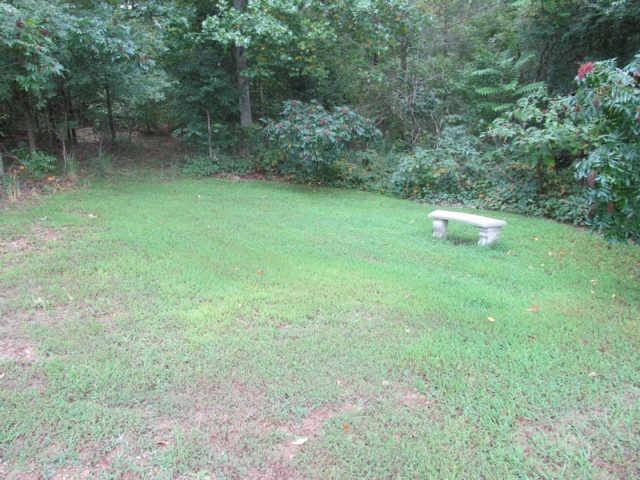 2188 CCC Road McEwen, TN 37101 - Photo 10 of 16 a view of a lush green forest with lots of trees